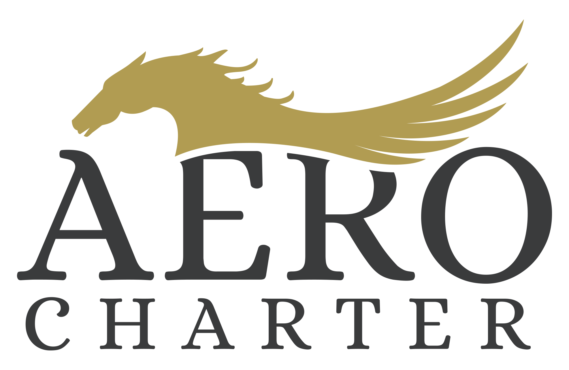 Aero Charter Logo