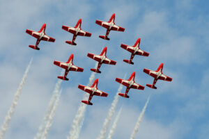 Canadian Snowbirds